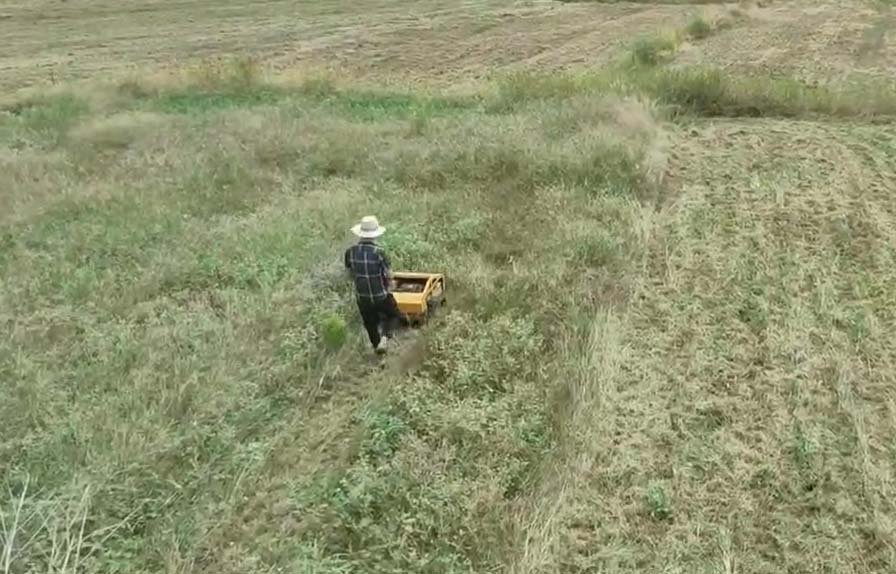 Resources 8 How to Find a Reliable Lawn Mower Manufacturer in China — Tips for First-Time Importers Resources How to Find a Reliable Lawn Mower Manufacturer in China — Tips for First-Time Importers